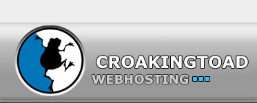 web hosting