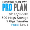 Web Hosting Plan